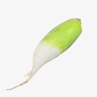 有机蔬菜萝卜实物摄影