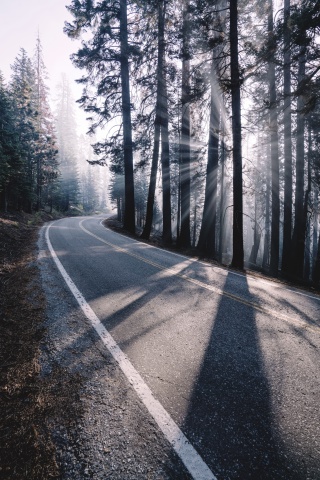 山林公路高清图片