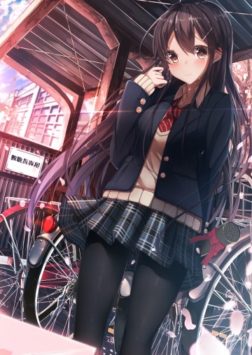 手机壁纸
