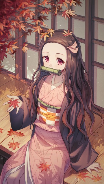 手机壁纸