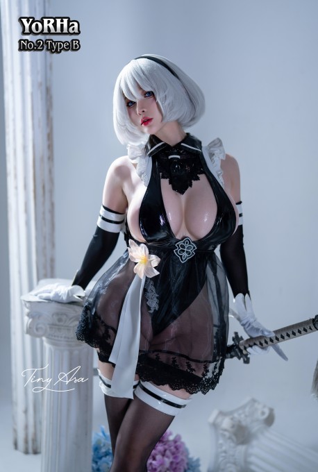 TinyAsa剑星2B