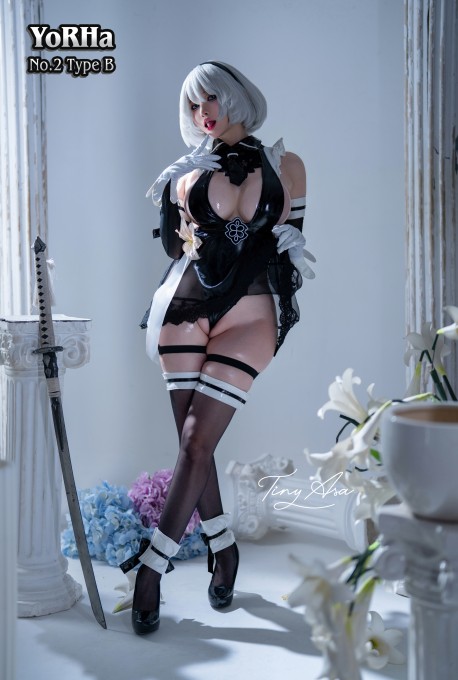 TinyAsa剑星2B
