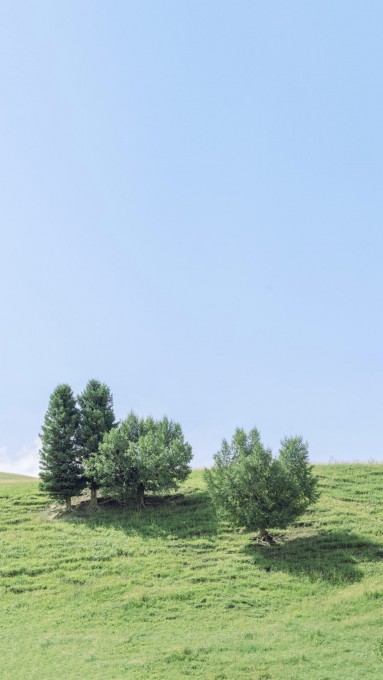 乡间田园风光美景图片手机壁纸