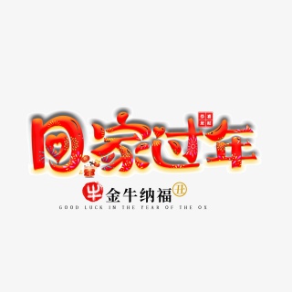 回家过年春节新年团员节日