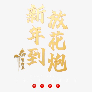 新年到放花炮