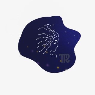 十二星座之处女座标签
