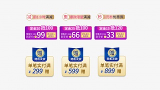 促销标签
