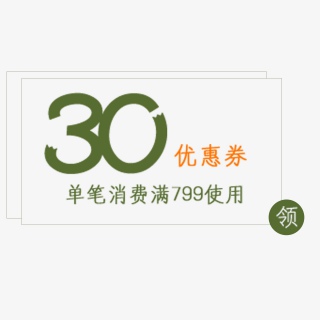淘宝简洁彩色优惠券30