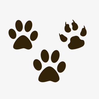 卡通动物脚印猫猫脚印狗狗脚印图标