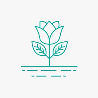 花朵图标
