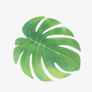 手绘大自然树叶绿色植物叶子