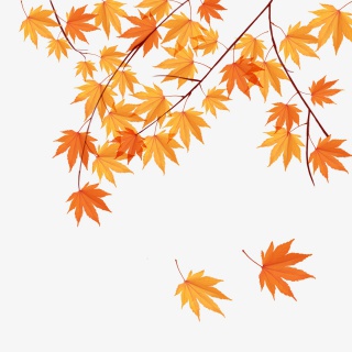 秋天枫叶立秋节气