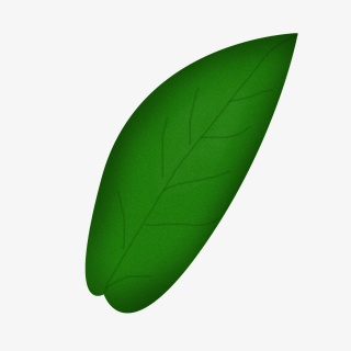 手绘水彩绿色植物叶子