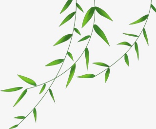 手绘叶子装饰png元素