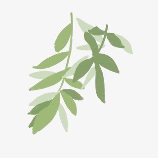 漂浮的绿色叶子素材