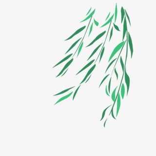 柳叶夏日叶子卡通手绘高清矢量