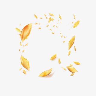 叶子漂浮