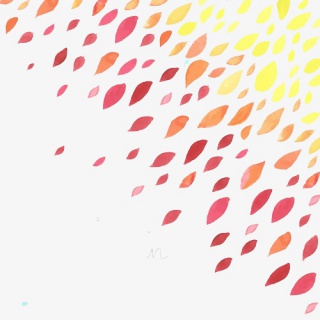 漂浮叶子