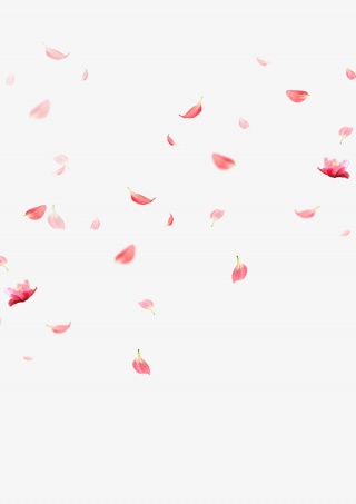 花瓣漂浮元素