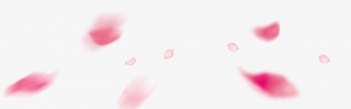 散乱漂浮桃花花瓣