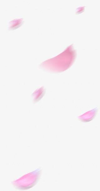 飘浮的花瓣