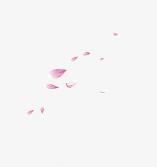 中国风清新粉色荷花花瓣