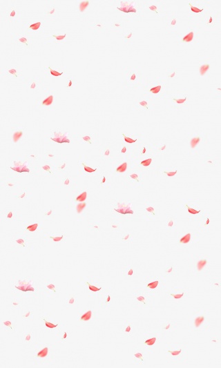 花瓣飘