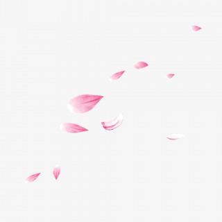 花瓣漂浮元素
