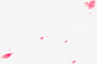 漂浮桃花花瓣