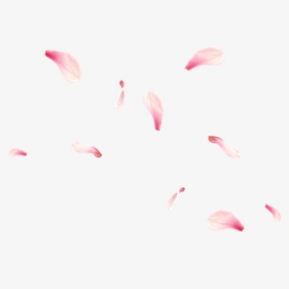 花瓣背景素材