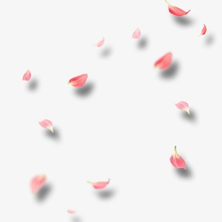 散乱漂浮桃花花瓣