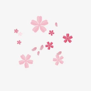 漂浮的粉色花瓣