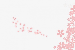 唯美创意粉色花瓣飘落