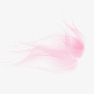 粉色花瓣元素