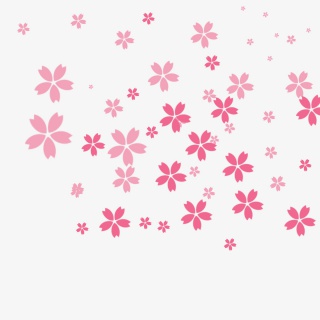 樱花花瓣飘落漂浮装饰桃花