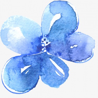 蓝色花瓣素材