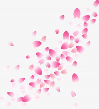 玫瑰花瓣