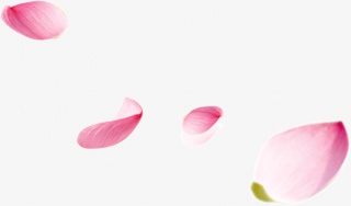 飘落花瓣