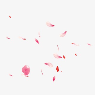 漂浮的花瓣