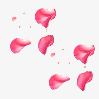 粉色桃花花瓣
