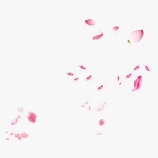 粉色花瓣