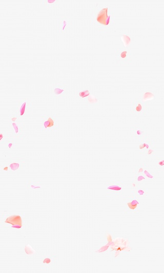 漂浮花瓣