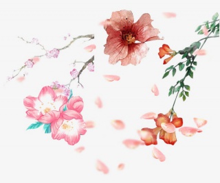 古典水墨花花瓣