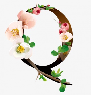 花瓣字母素材