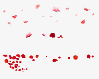 花瓣