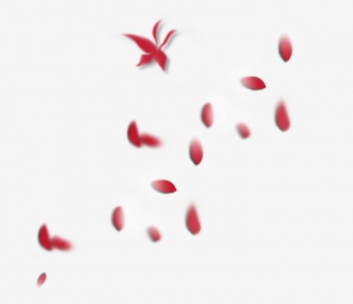 红色花瓣漂浮PNG素材