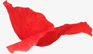花瓣