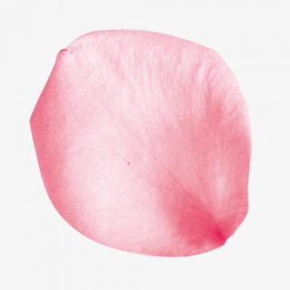 五彩漂浮花瓣