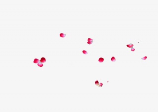 红色花瓣