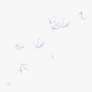 白色素雅花瓣PNG素材